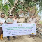 Tradisi Meugang Di Aceh Baznas Kabupaten Bekasi Salurkan 8 Ekor Sapi untuk Korban Banjir Aceh Tamiang