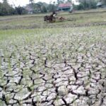 Pemkab Bekasi Keluarkan Peringatan Dini, Kemarau 2026 Diprediksi Lebih Panjang dan Kering