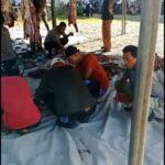 Komando Singa Mutiara Kurban 4 Ekor Sapi pada Hari Raya Idul Adha 1447 H